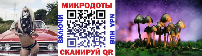 Галлюциногенные грибы Magic Shrooms  Нижнекамск 
